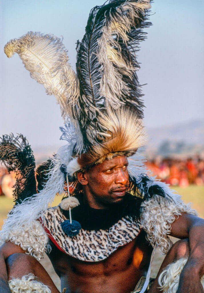 An Elder Chief