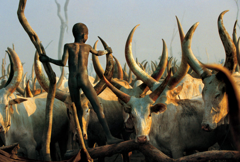 Africa Online Museum Sudan Dinka Photos