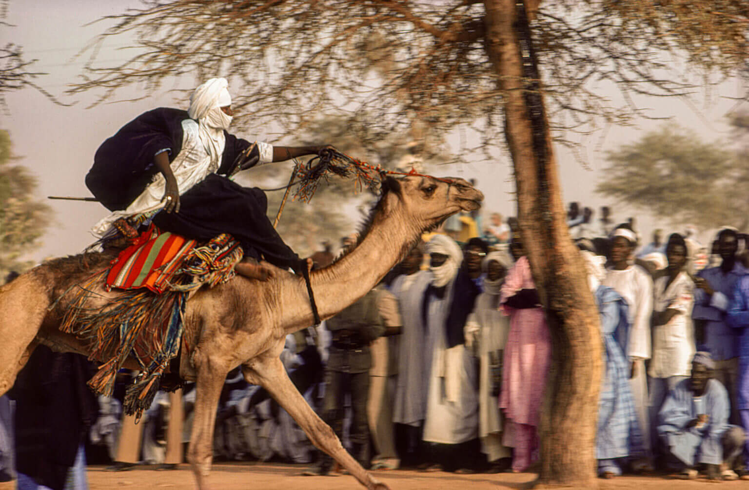 Africa Online Museum » Niger » Tuareg Wedding and Bianou Celebration