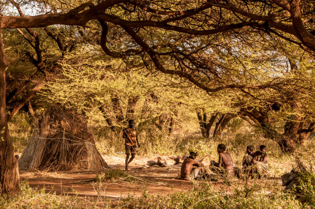 Hadza Homestead