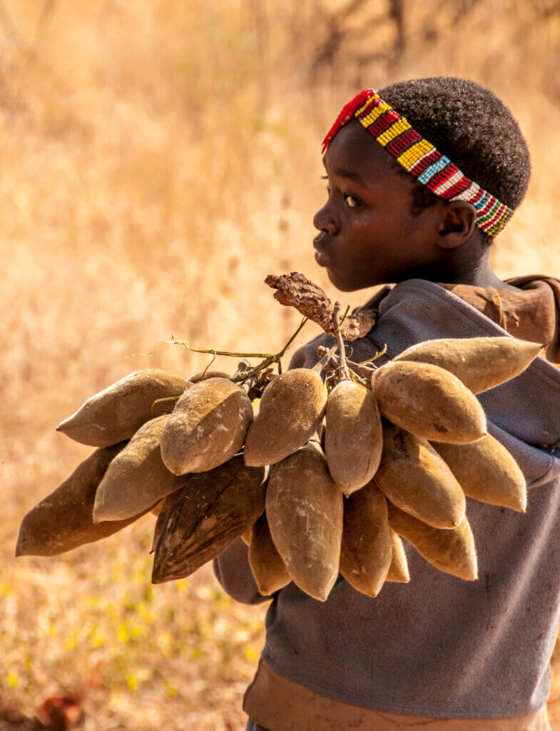 Baobab Fruit