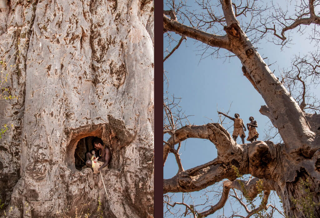 Shelter and Look
Out