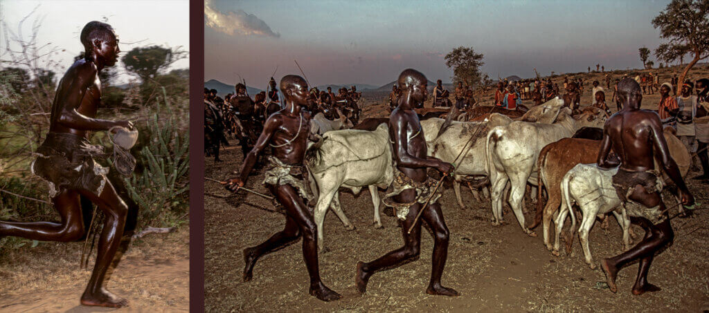 Lining up the
Bulls