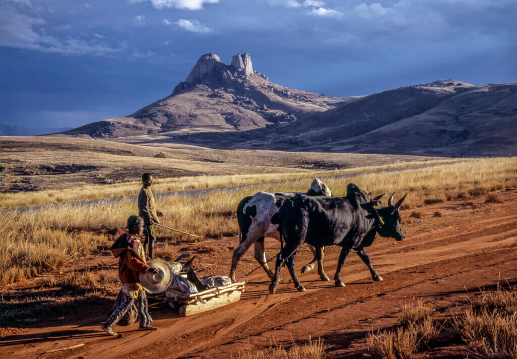 Traditional Transport