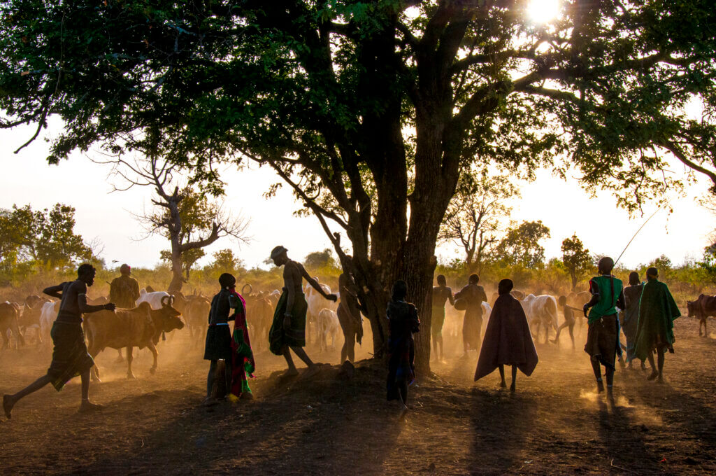 Gathering Under the
Kiringeni Tree