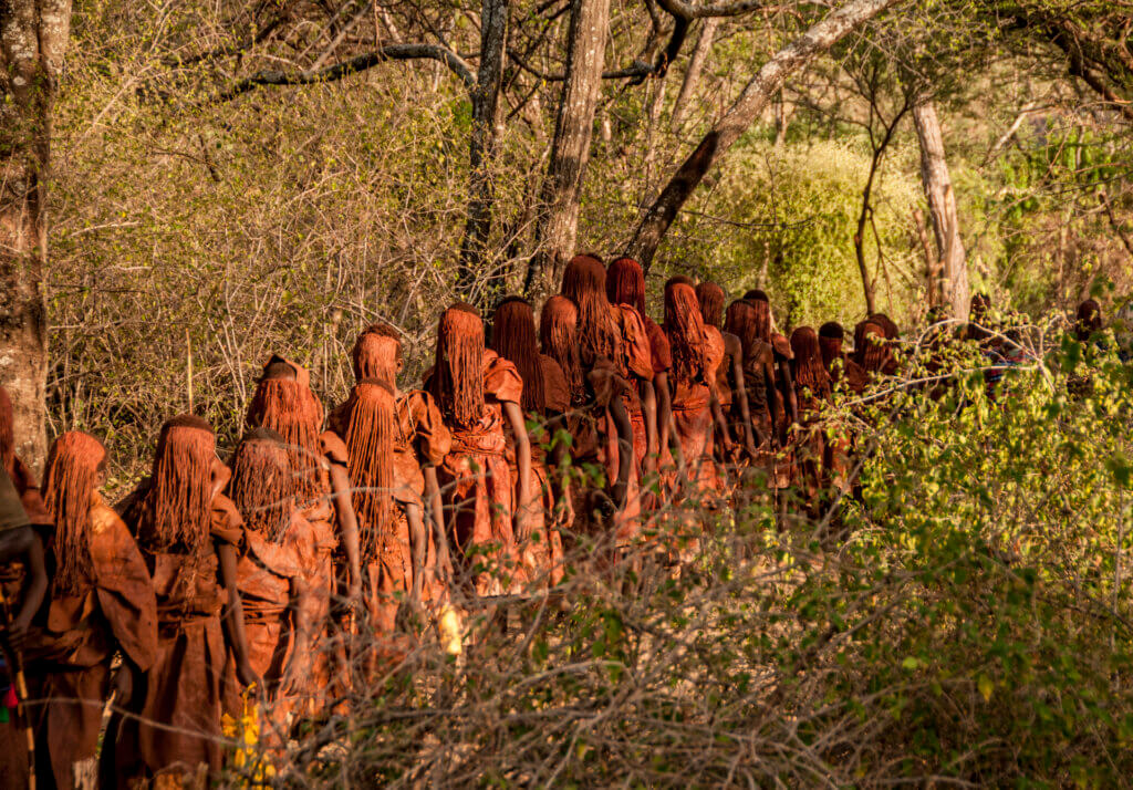 The Sacred Forest